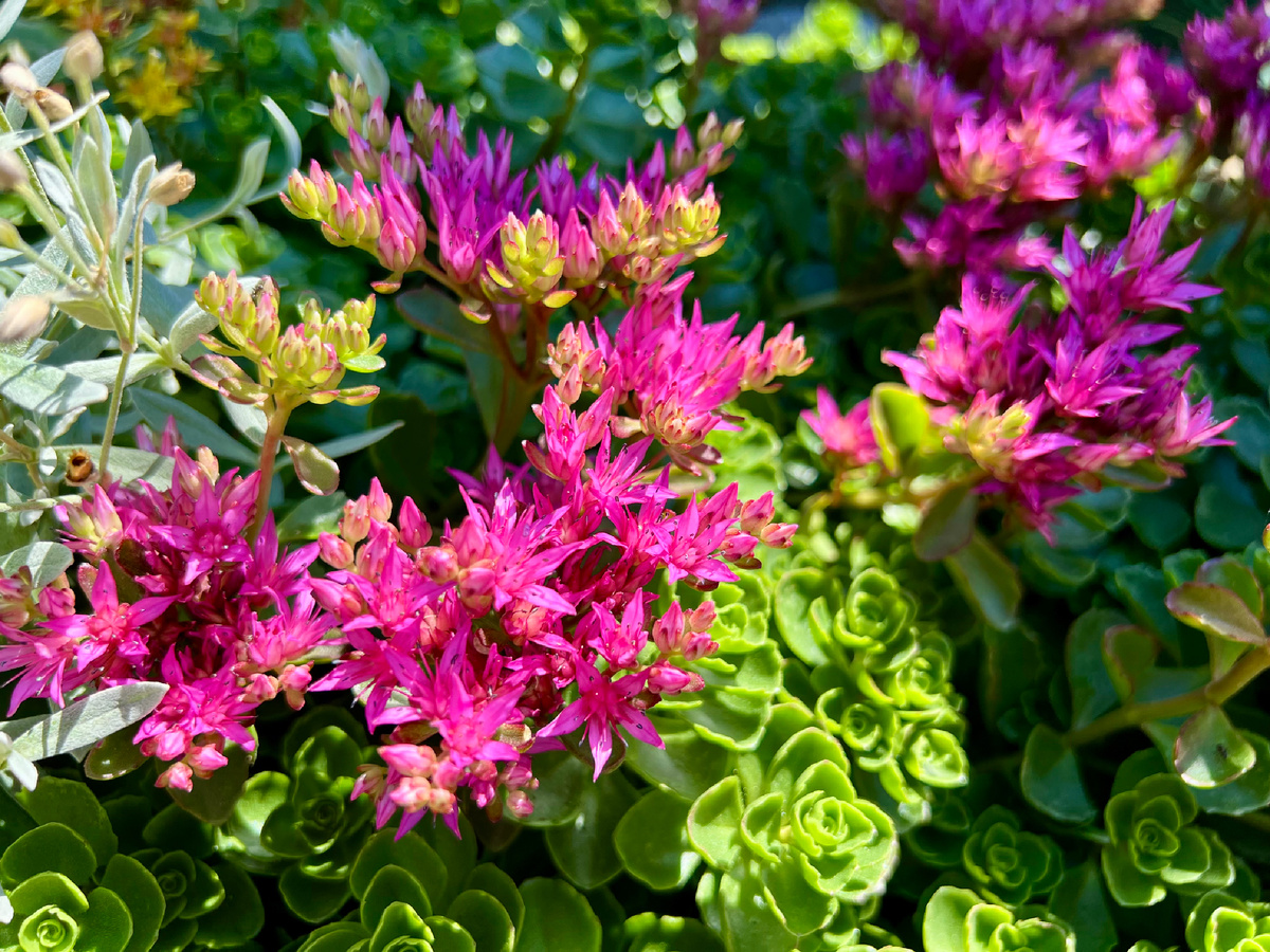 Личное фото