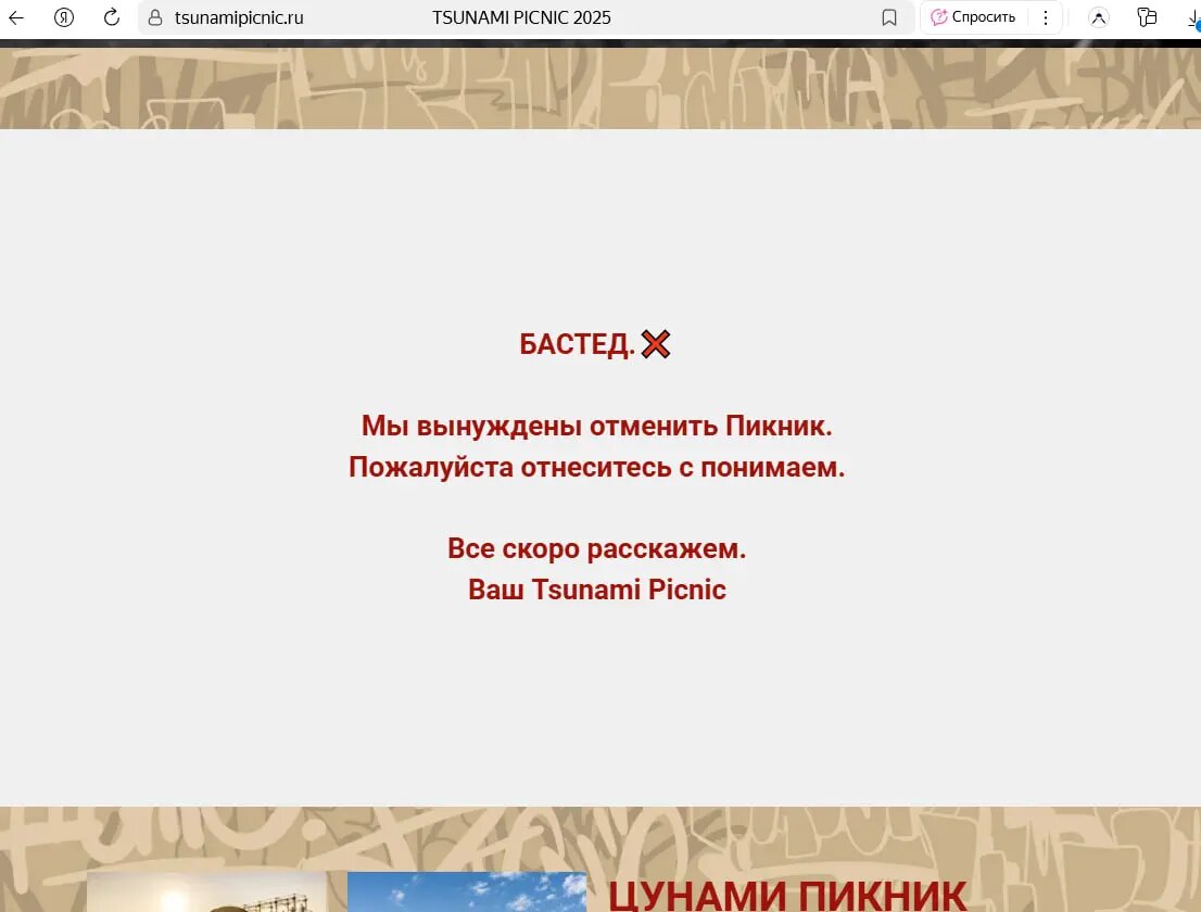    Фото: скриншот с сайта «Цунами Пикник»
