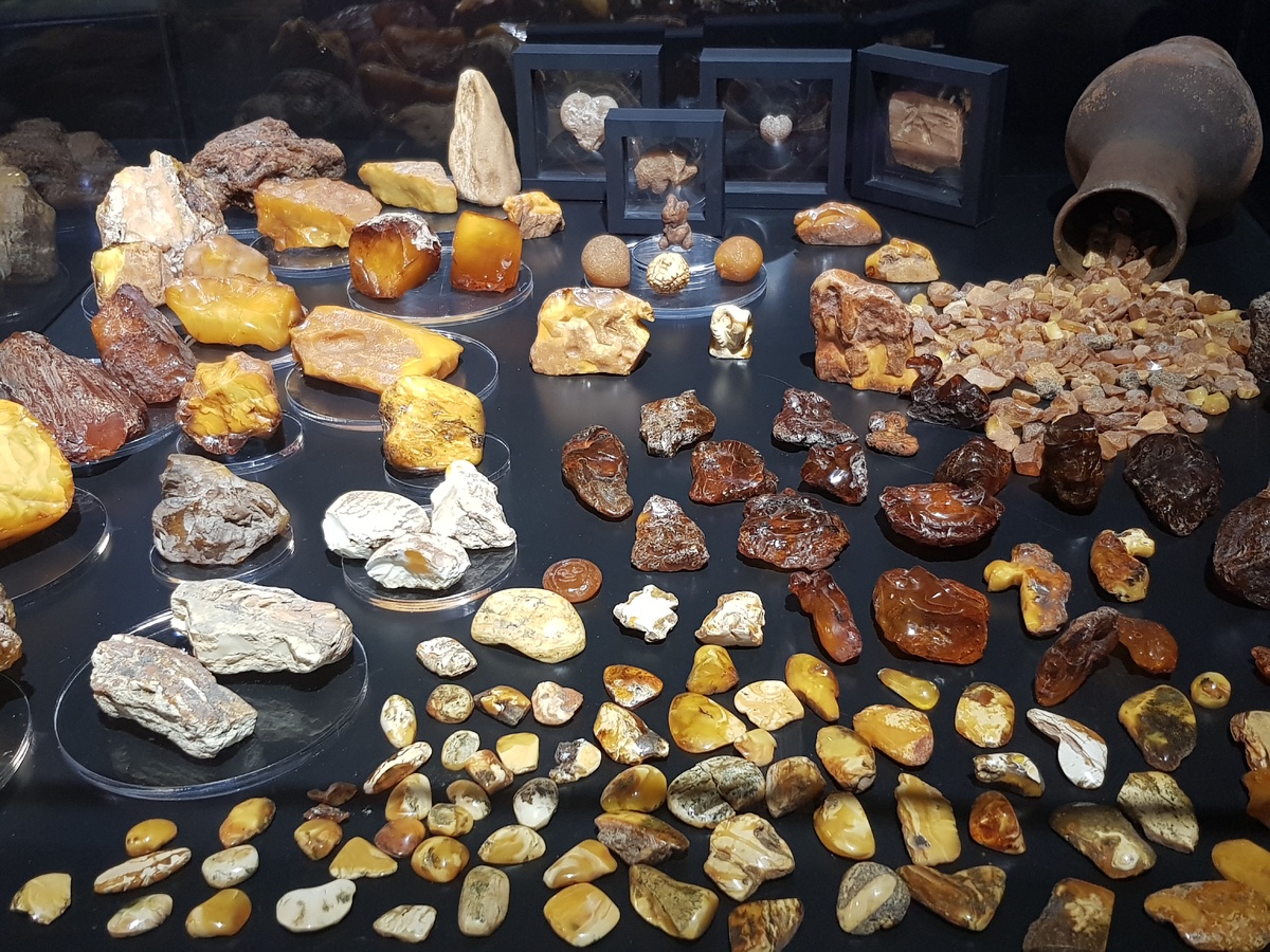 Разные виды янтаря. Фото автора в одном из музеев Янтарного. 