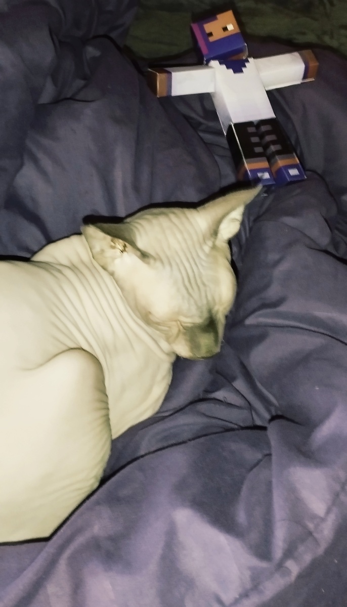 Сын поделился игрушкой с Васей 😁