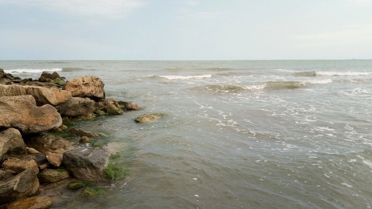     Источник: 1MI