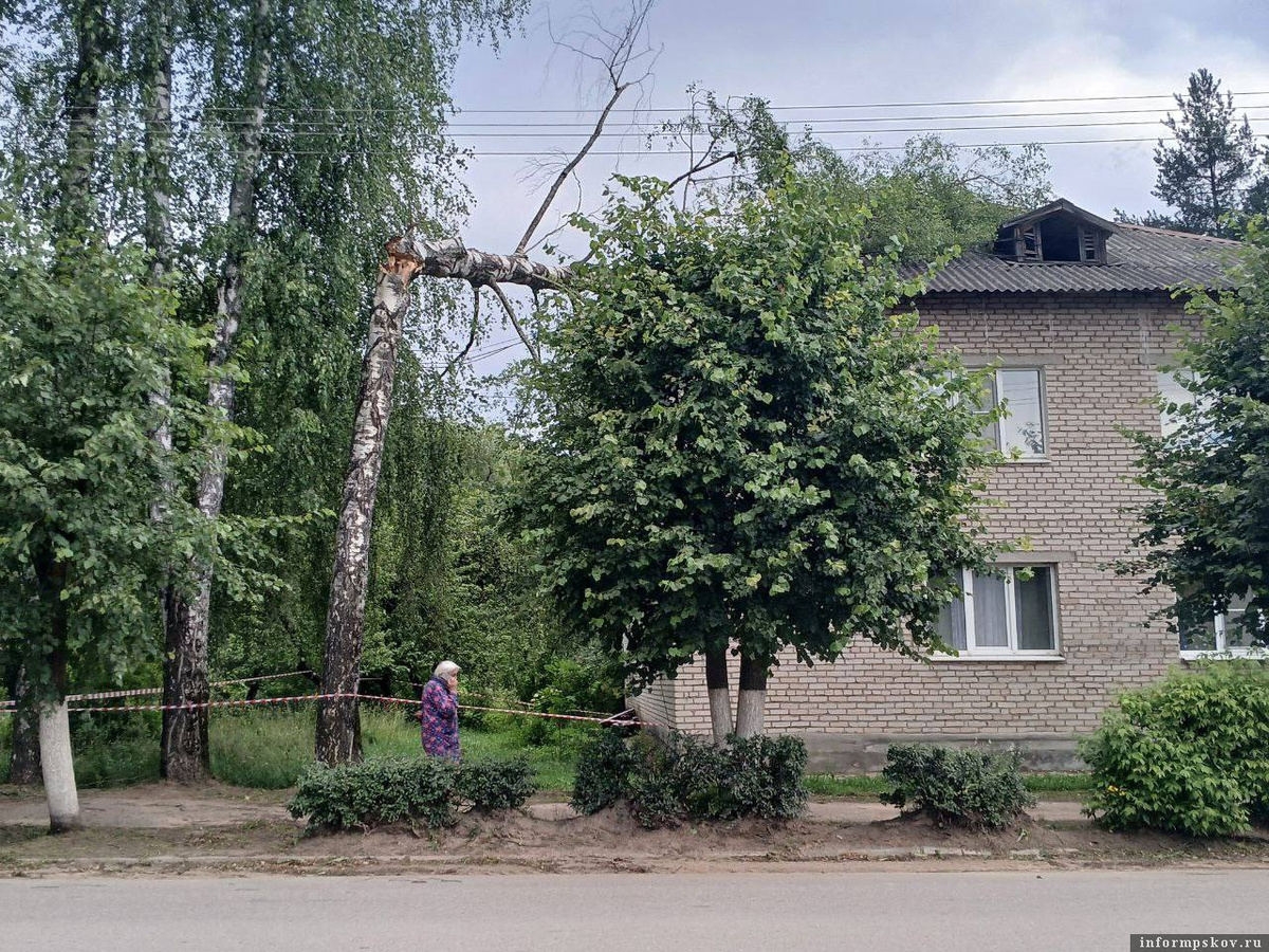 Фото и видео газеты «Пушкинский край»