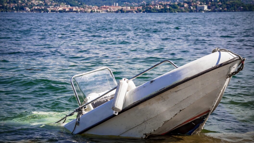    Фото: Davide Sarru/shutterstock.com