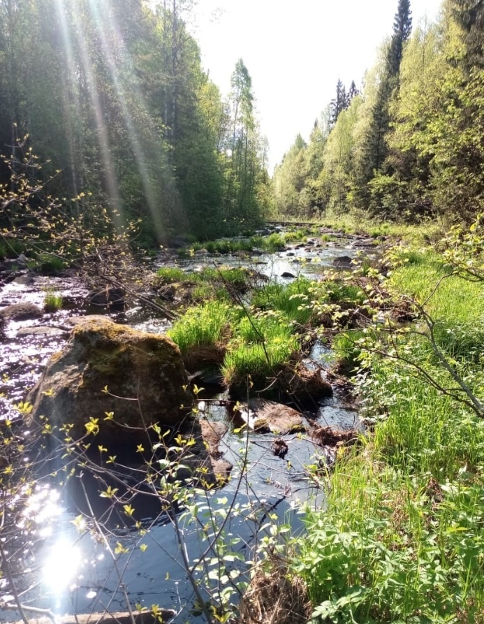 фото автора (Лучик солнышка всегда появится из- за тучки).