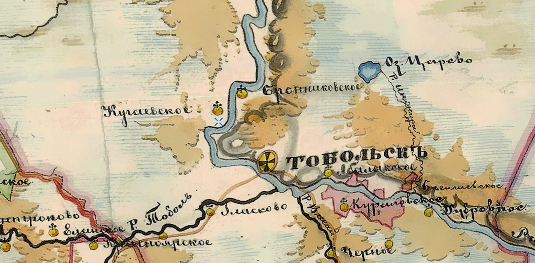 Карта Тобольской и Томской губерний 1874 года.