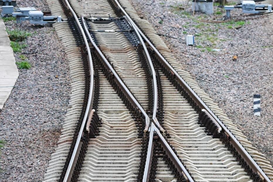    Алексей Белкин/NEWS.ru