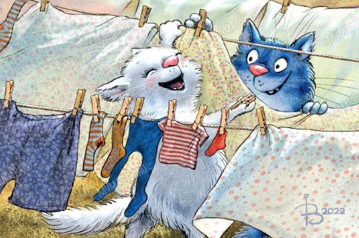 очаровательные коты Рины Зенюк