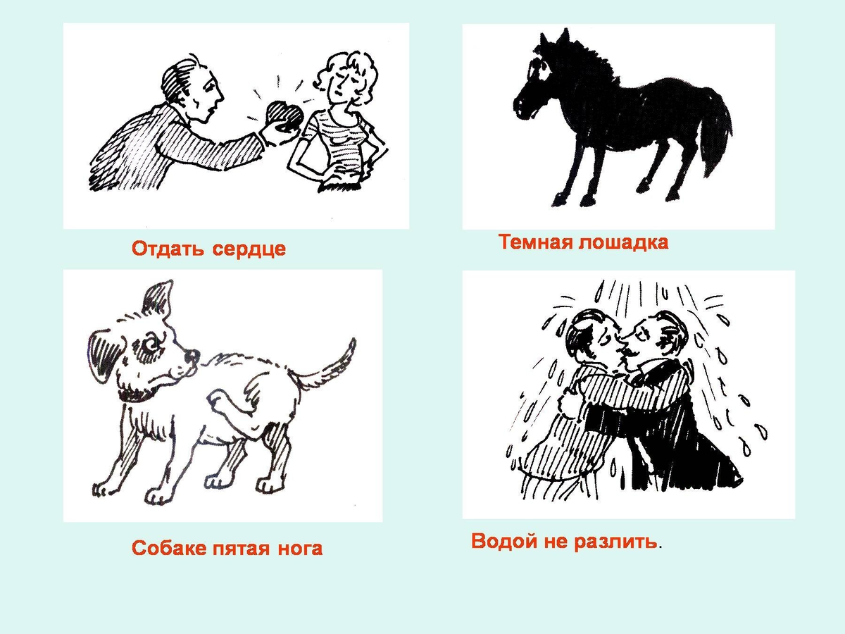 Фразеологизмы в картинках