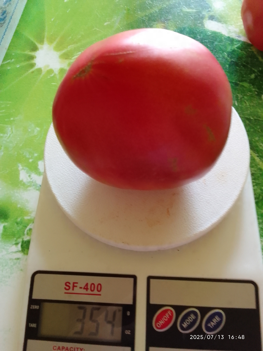 Фото из моей галереи