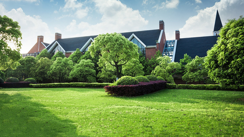     Источник здесь и далее: freepik.com (@evening-tao)