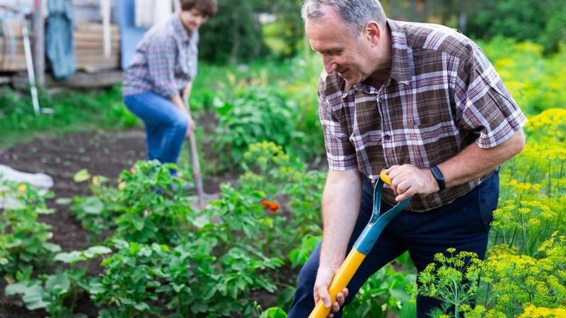    Фото: Caftor/Shutterstock/Fotodom