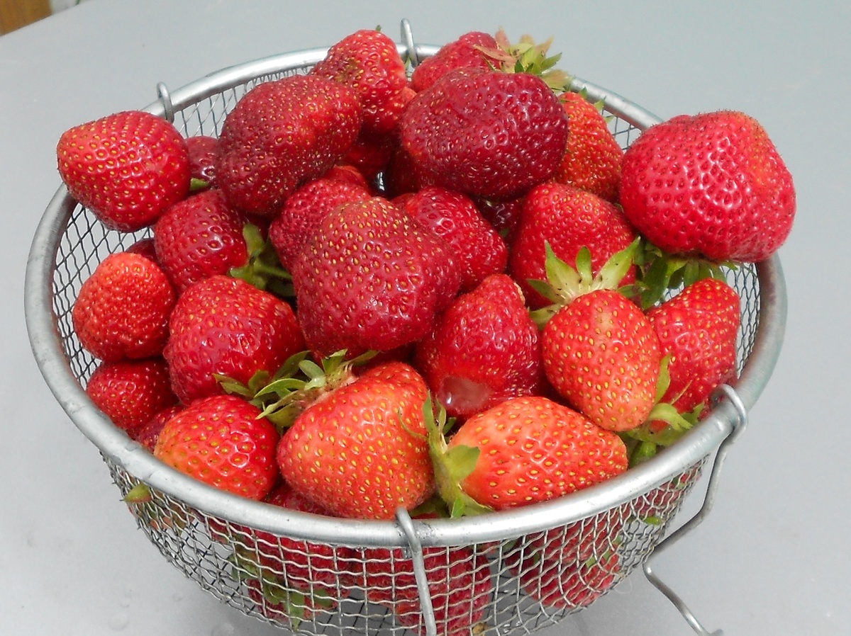 Вот такая ягодка растет в моём саде-огороде