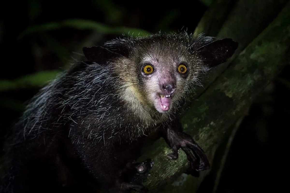 Изображение из интернета