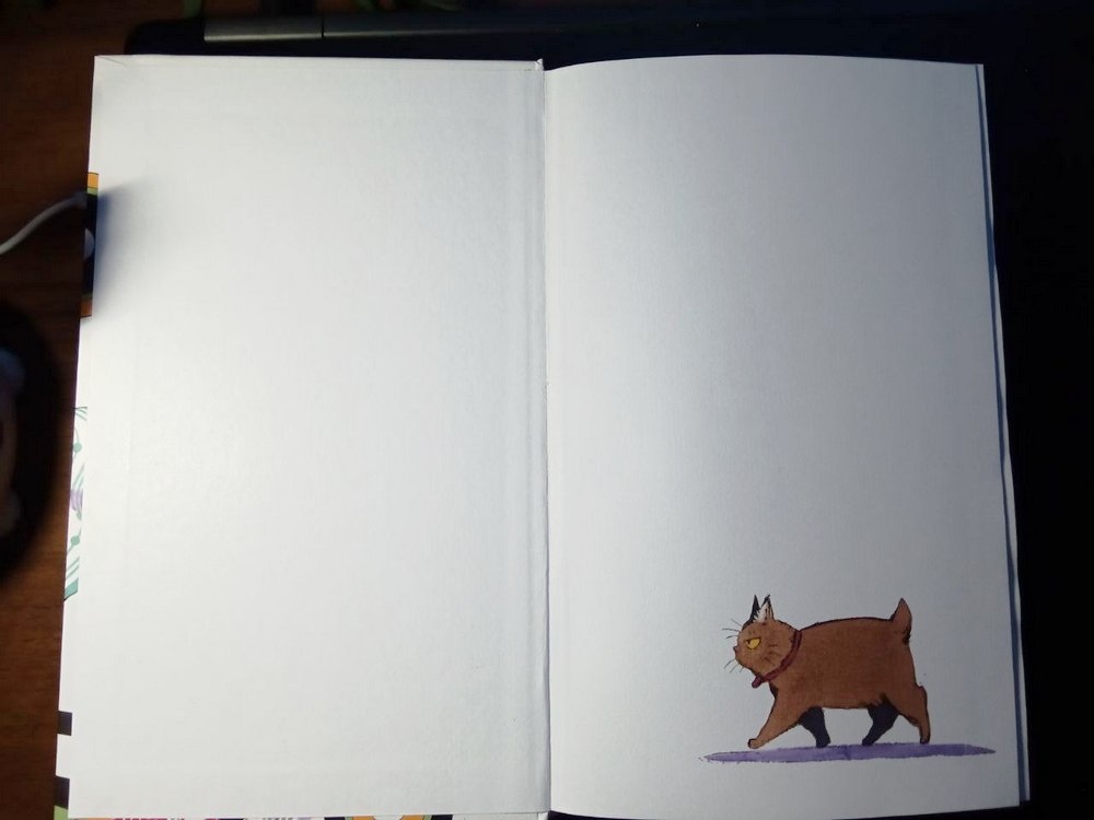 На форзаце гуляет кот