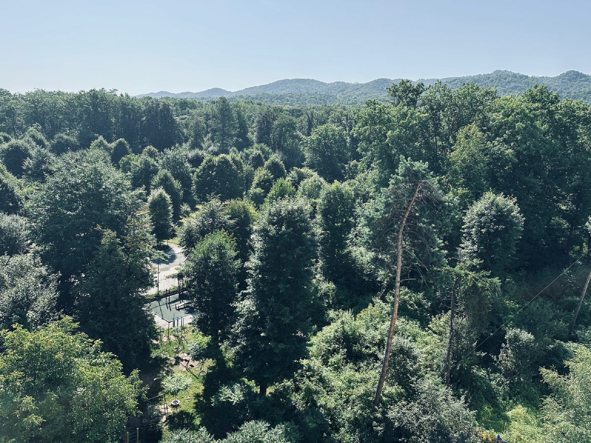 Владикавказ, вид из окна 9 этажки на Ул.Пушкинская