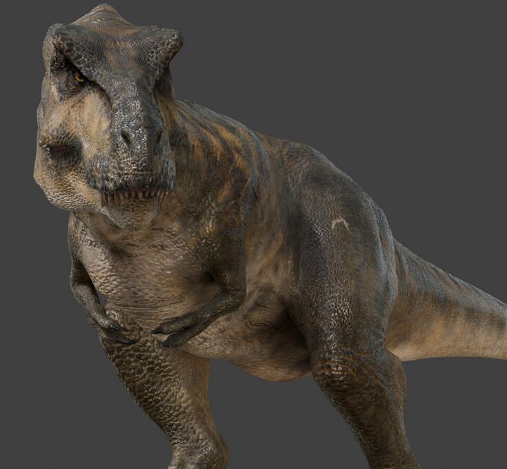 Комплекция тираннозавра