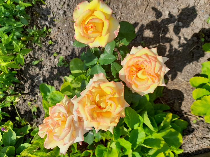 Фото автора 