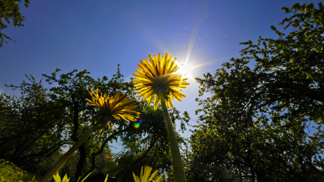    Фото: Олег Рукавицын. Царьград