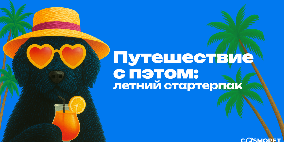 Путешествие с пэтом: летний стартерпак