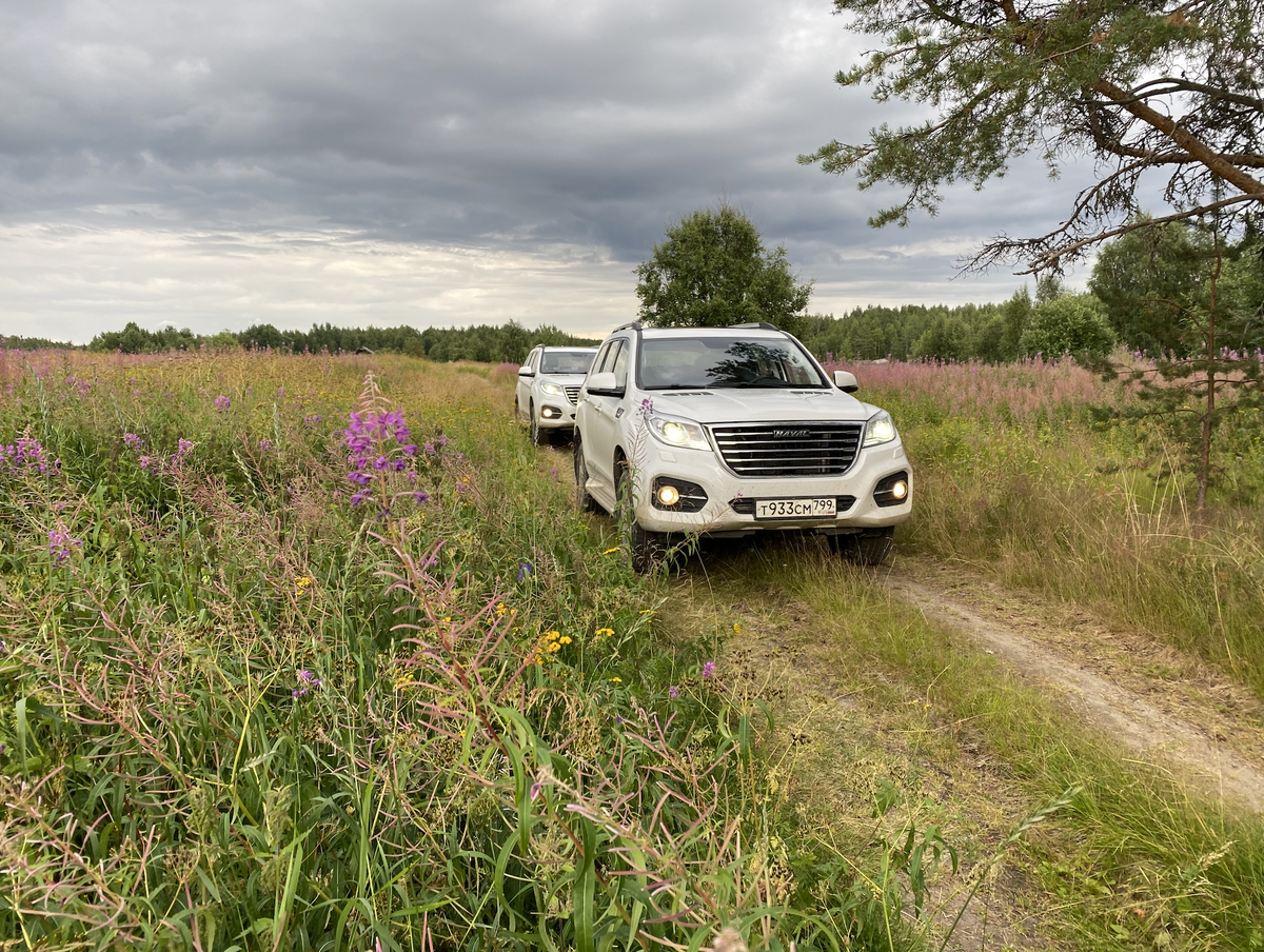 Едем где-то по Карелии.