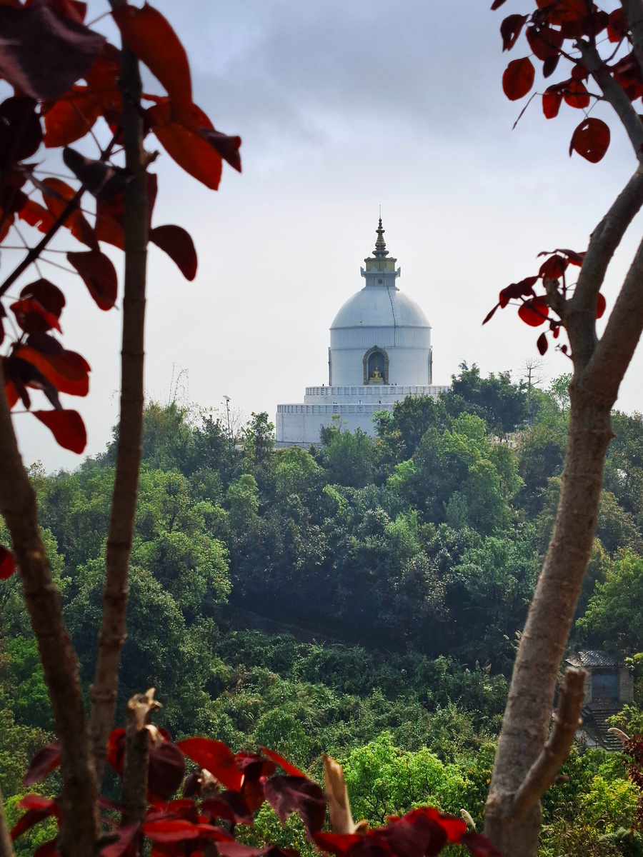 Пагода мира во всём мире (World Peace Pagoda). Фото автора. 