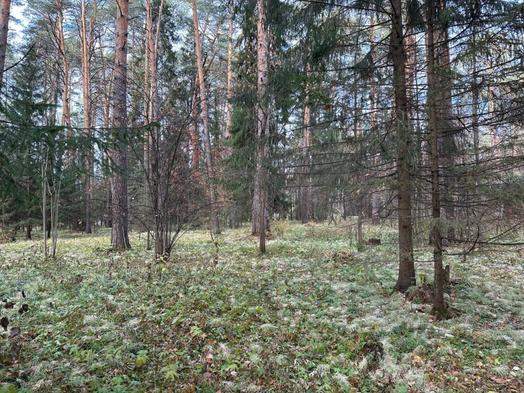    Фото: В курсе.ру Ольга Гилёва