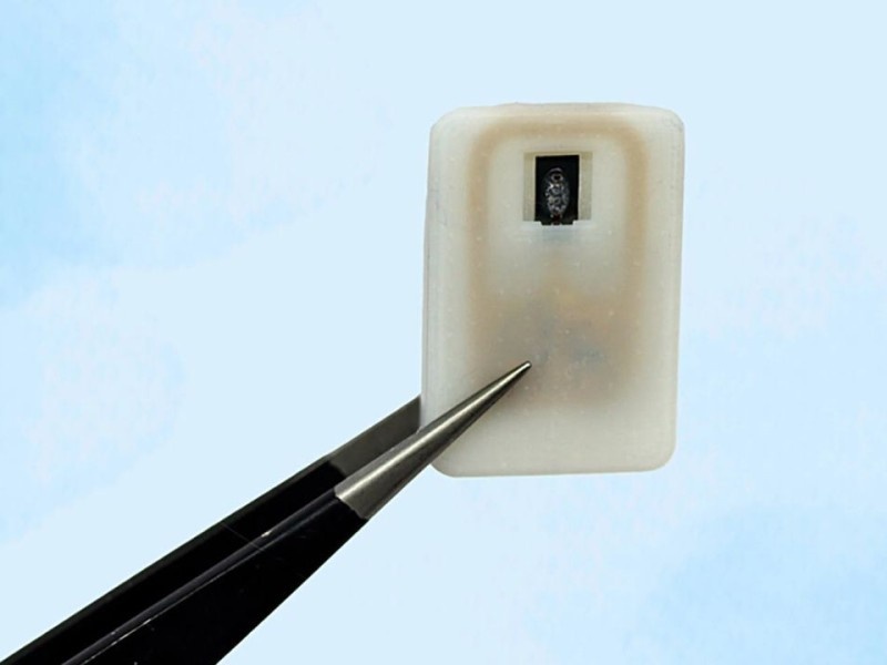    Мини-имплант способен контролировать уровень сахара в крови