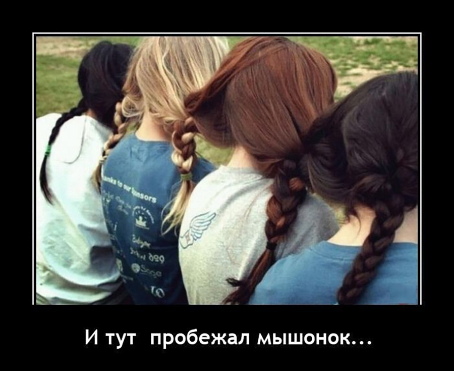 И заплел всем косы