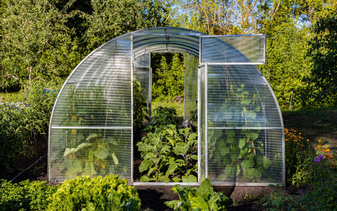 Источник фото: shutterstock.com