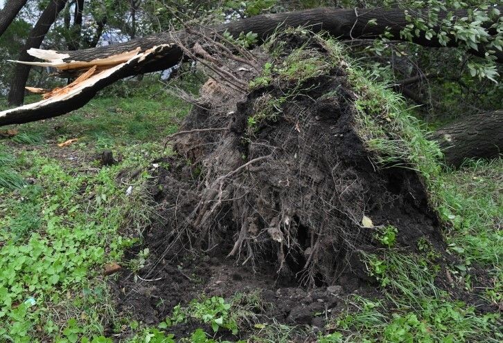     / Источник: © Виталий Аньков/РИА Новости