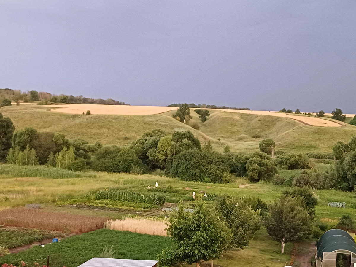 вид из окна моего дома (фото автора)