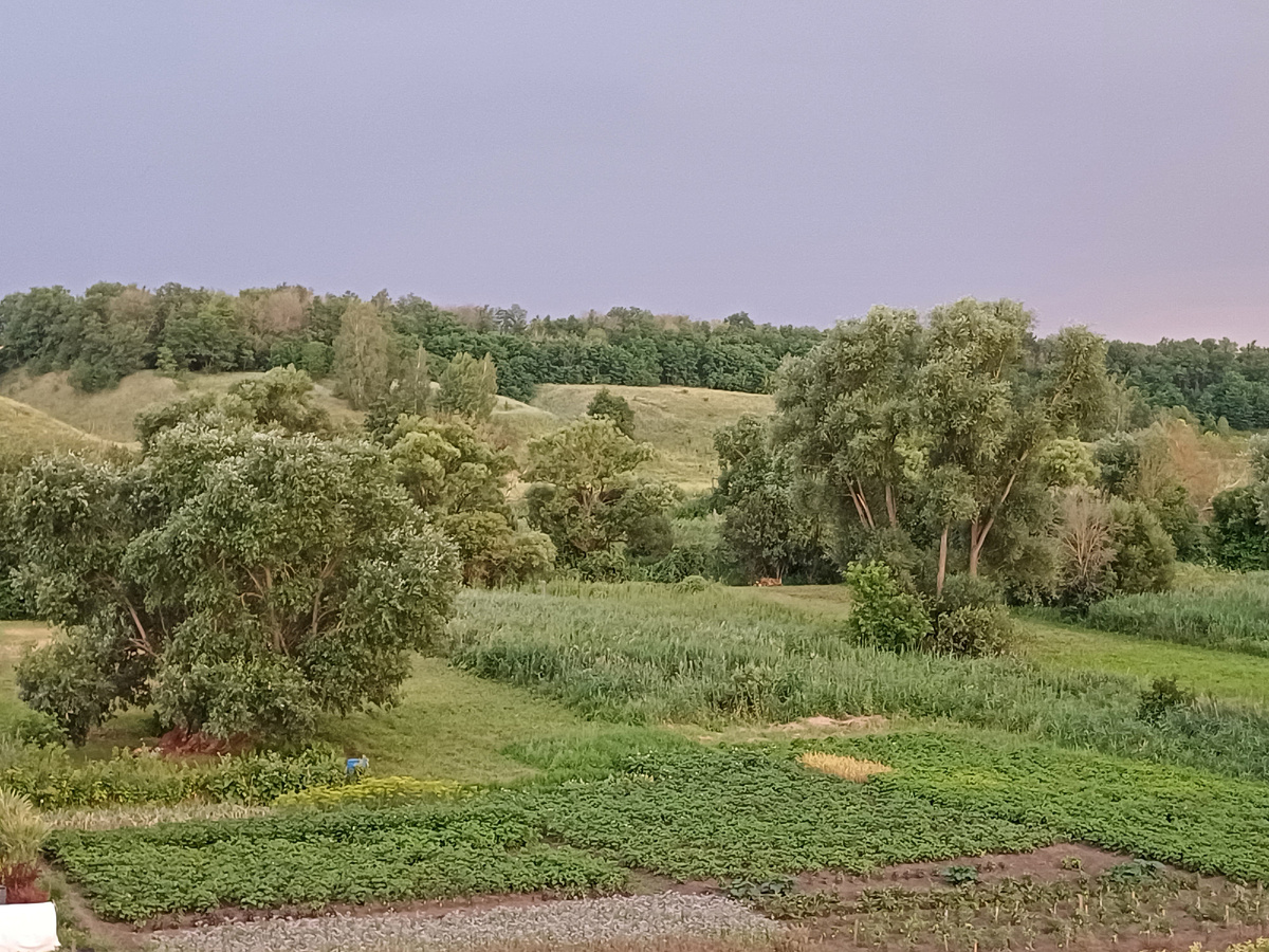 вид из моего окна (фото автора)
