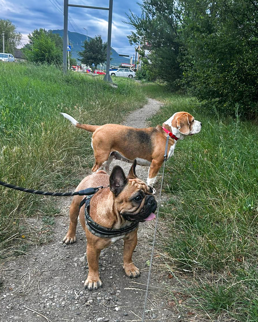 Подружка Нелли