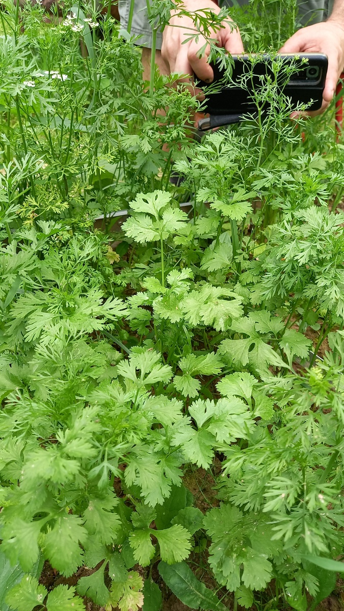 Кинза и муж-блогер