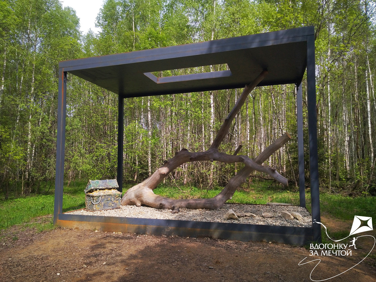 Аквариум / листаем фото