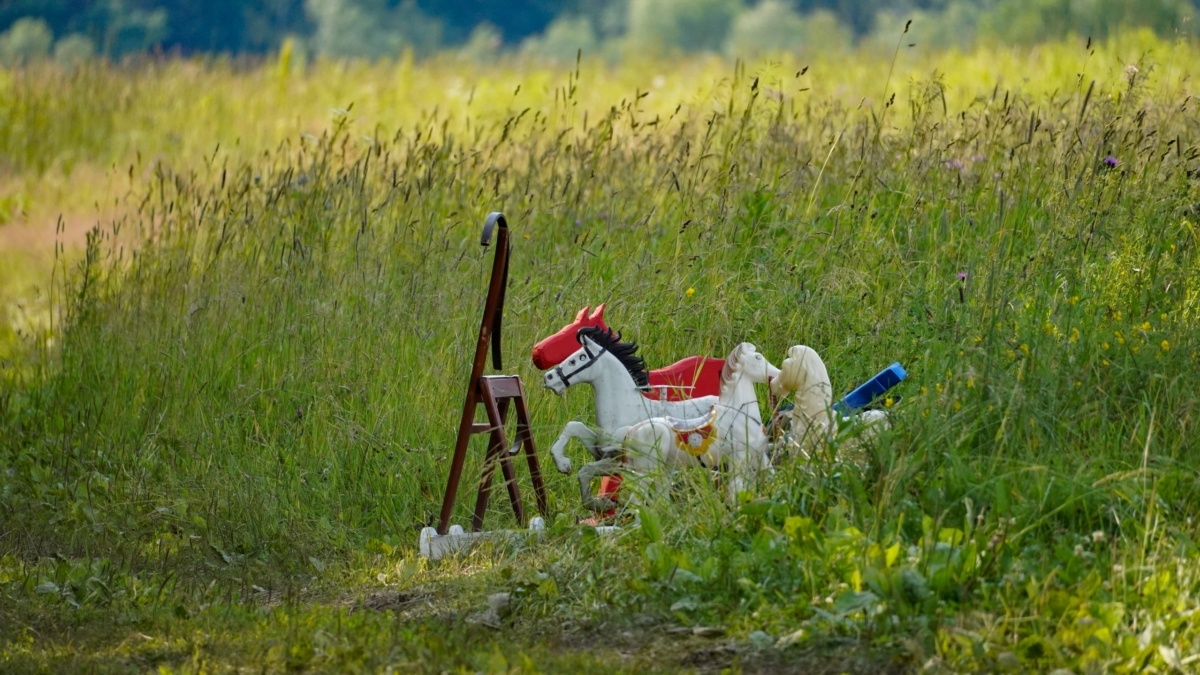 Светлана Мулыкина📷
