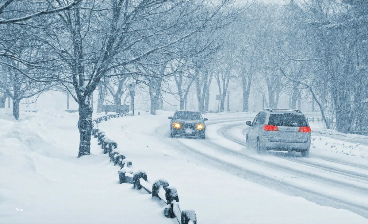 фото из открытого источника