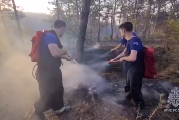     МЧС России/Telegram