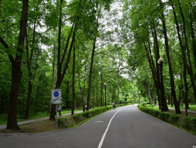 Фото парка, пока шла на лавочку.