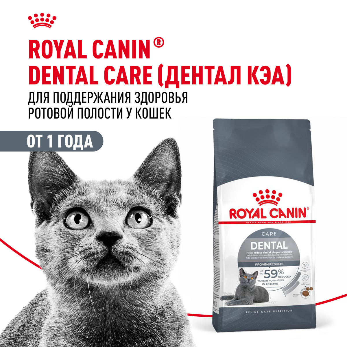 royal canin dental care