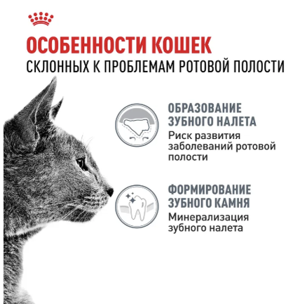 royal canin dental care