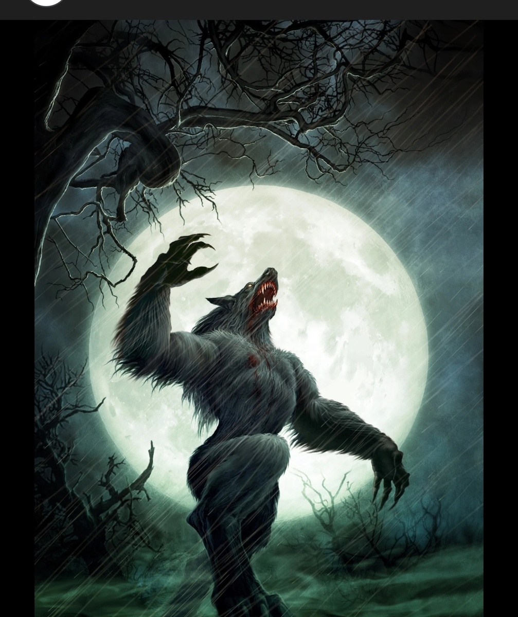 🌕 Как всё началось