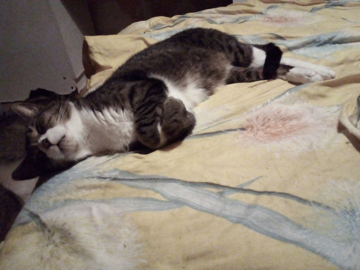 Послеобеденно-полдниковый и предуженный отдых Котстантина Промышляева.