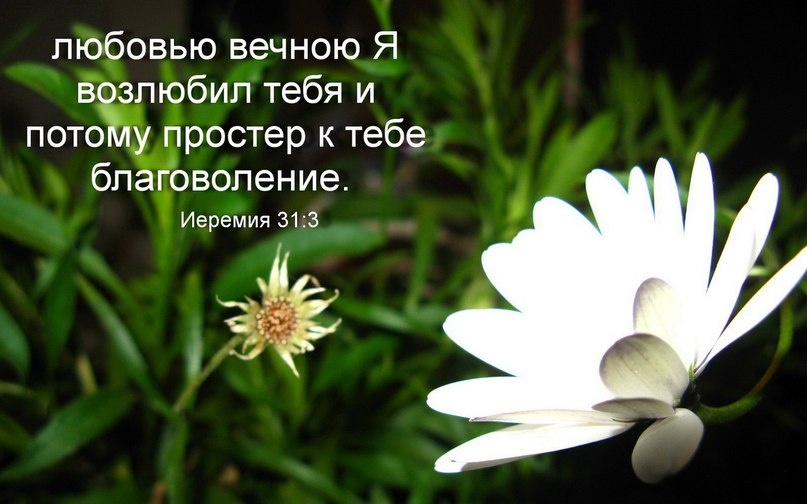 Иеремия 31:3