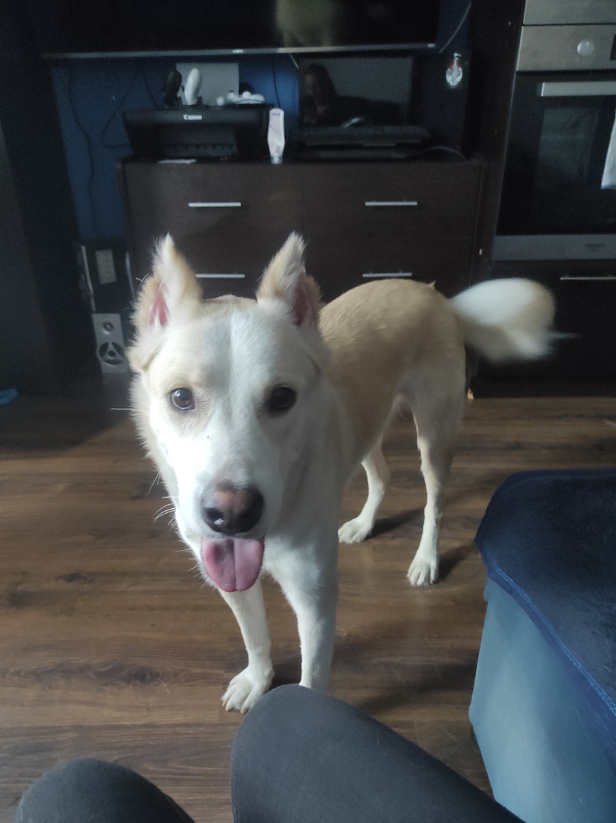 первопричина поездок в лес