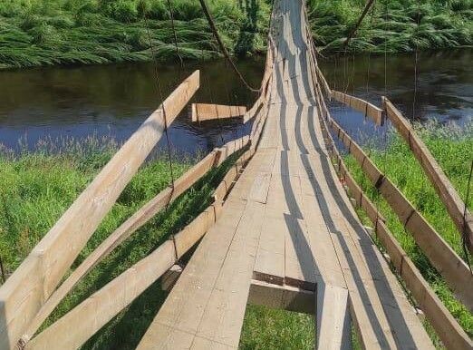     / Источник: t. me/DNMishenev