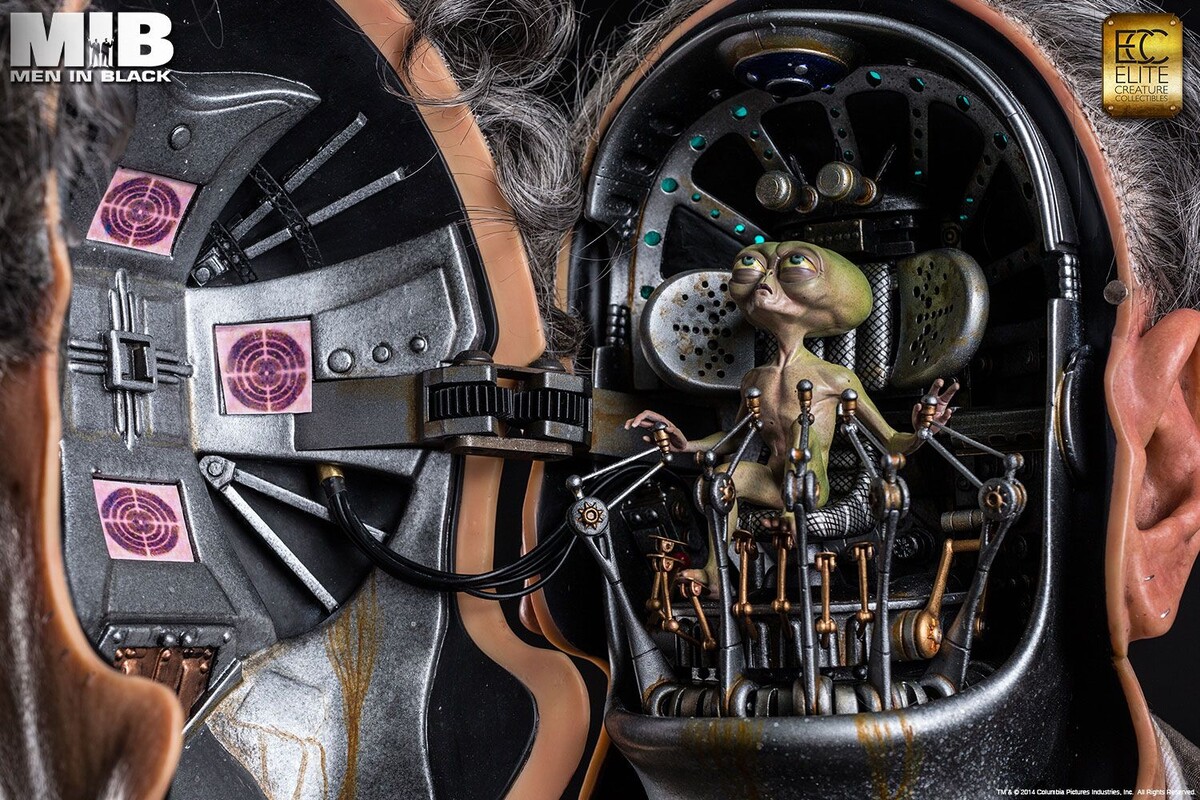 Картинка из интернета