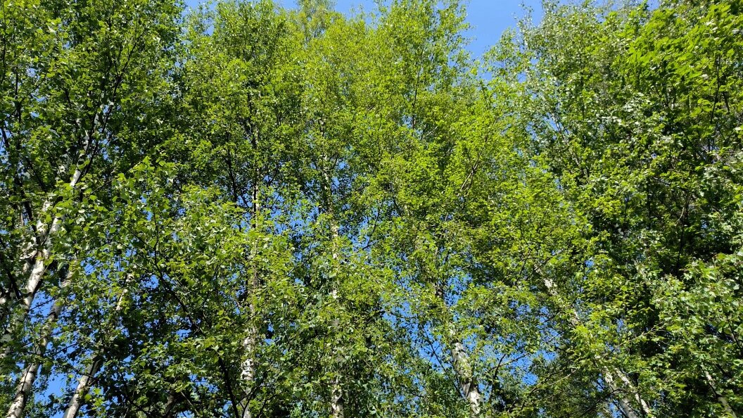    Maksim Konstantinov/Globallookpress