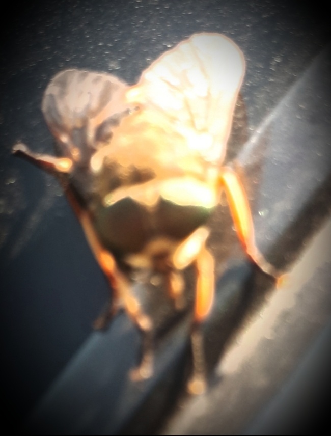 Фото автора статьи