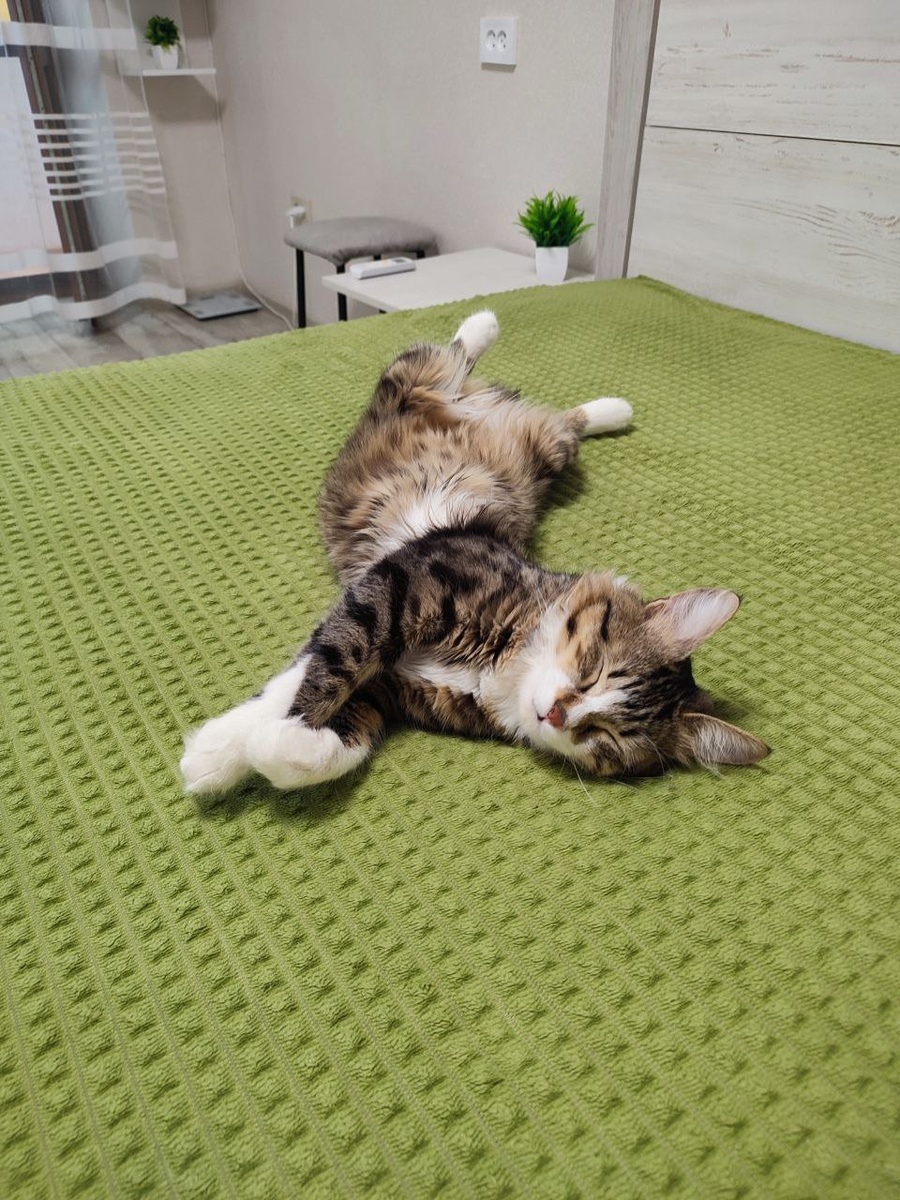 Наш Бакс знает толк в счастье😁